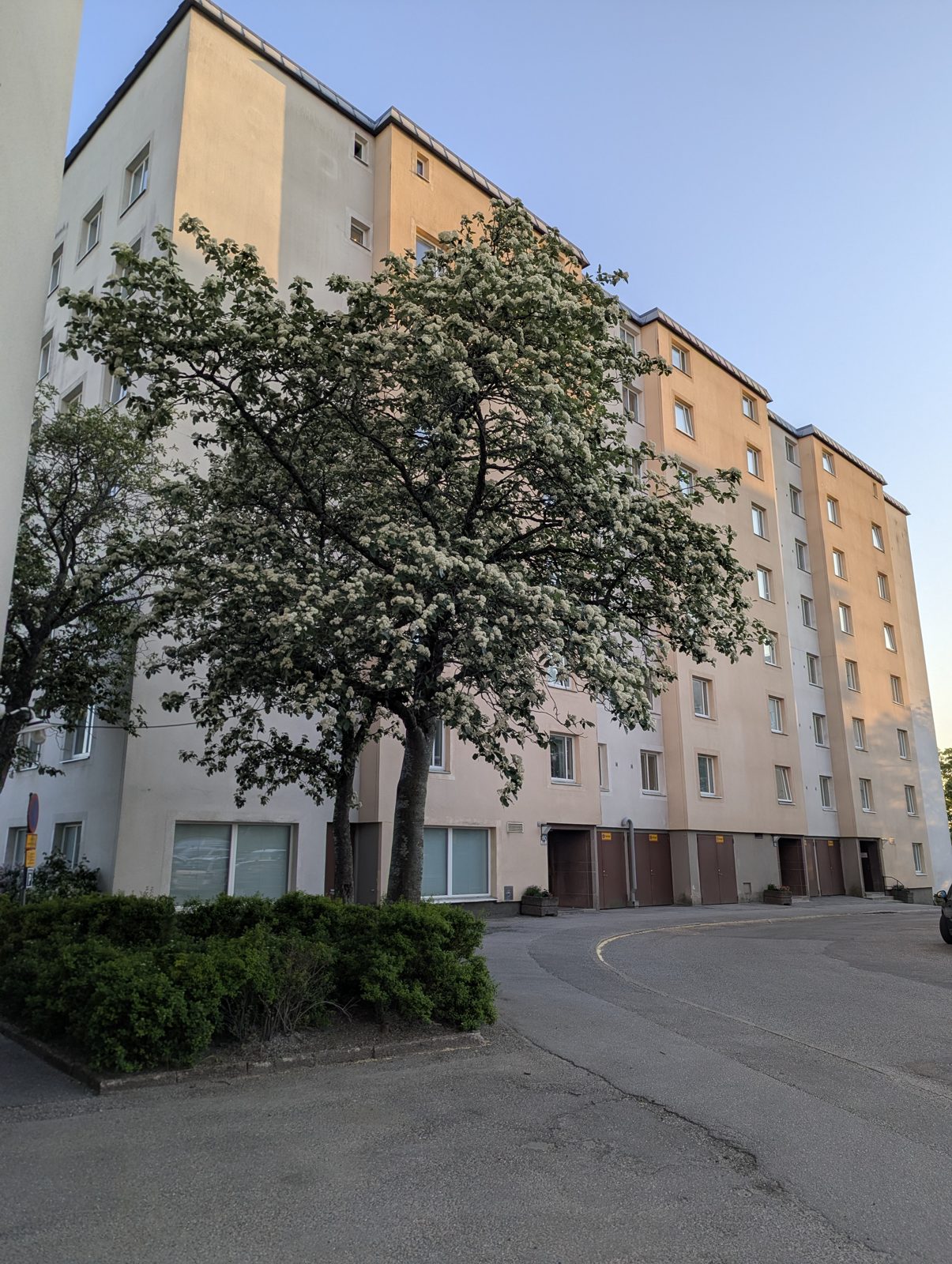 Husen 56–60 i Brf Adelsö 2 en vårkväll